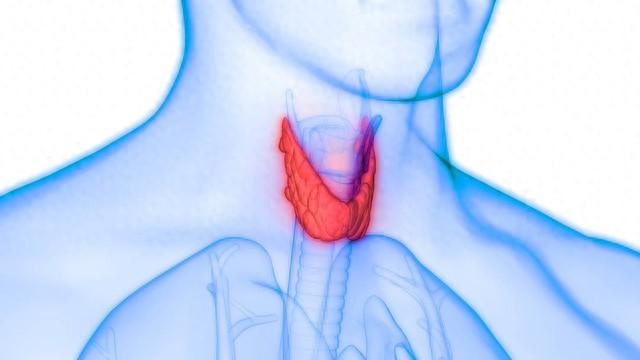 甲状腺结节补多少硒合适（合适补甲状腺结节硒片的药）-硒宝网