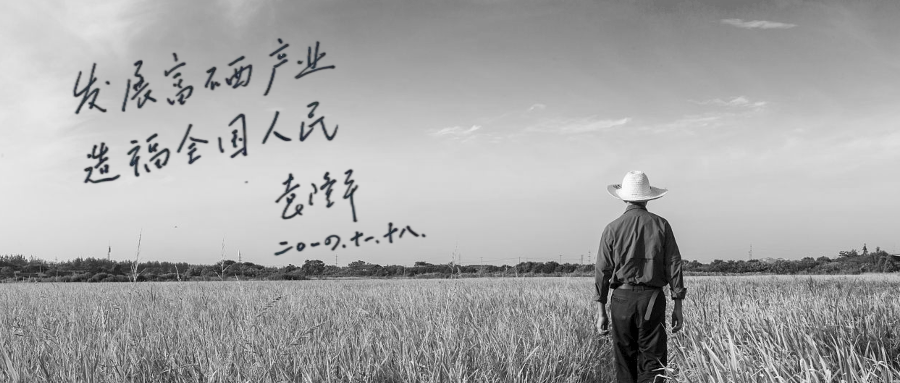 补硒为啥不能像补碘一样(要像补碘一样抓补硒)-硒宝网