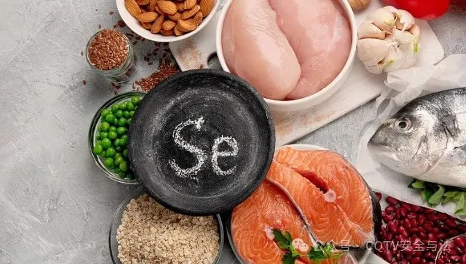 哪些食物可以为身体补硒(硒可以食补吗)-硒宝网