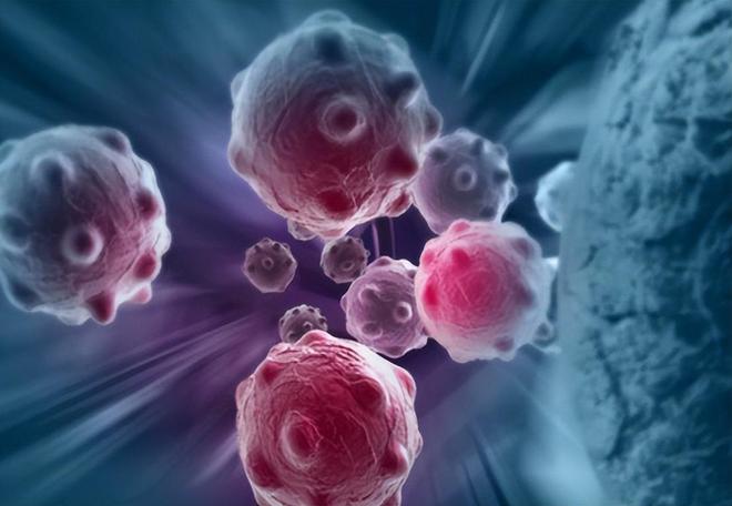 补硒还是补镁元素好一点(补充镁元素的好处)-硒宝网