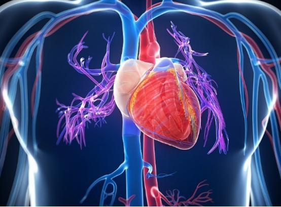 补硒还是补镁元素好一点(补充镁元素的好处)-硒宝网