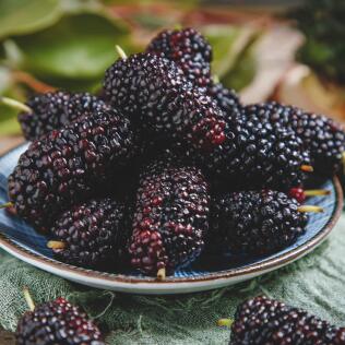 十大补钙水果排行榜（水果那种补钙）-硒宝网