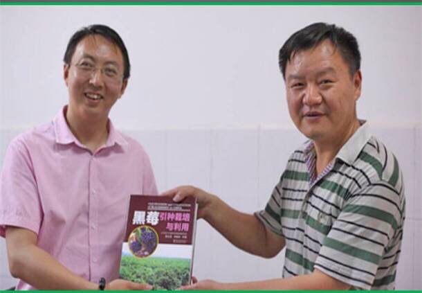 吃什么水果补硒最快最好(水果补吃好硒含量高吗)-硒宝网