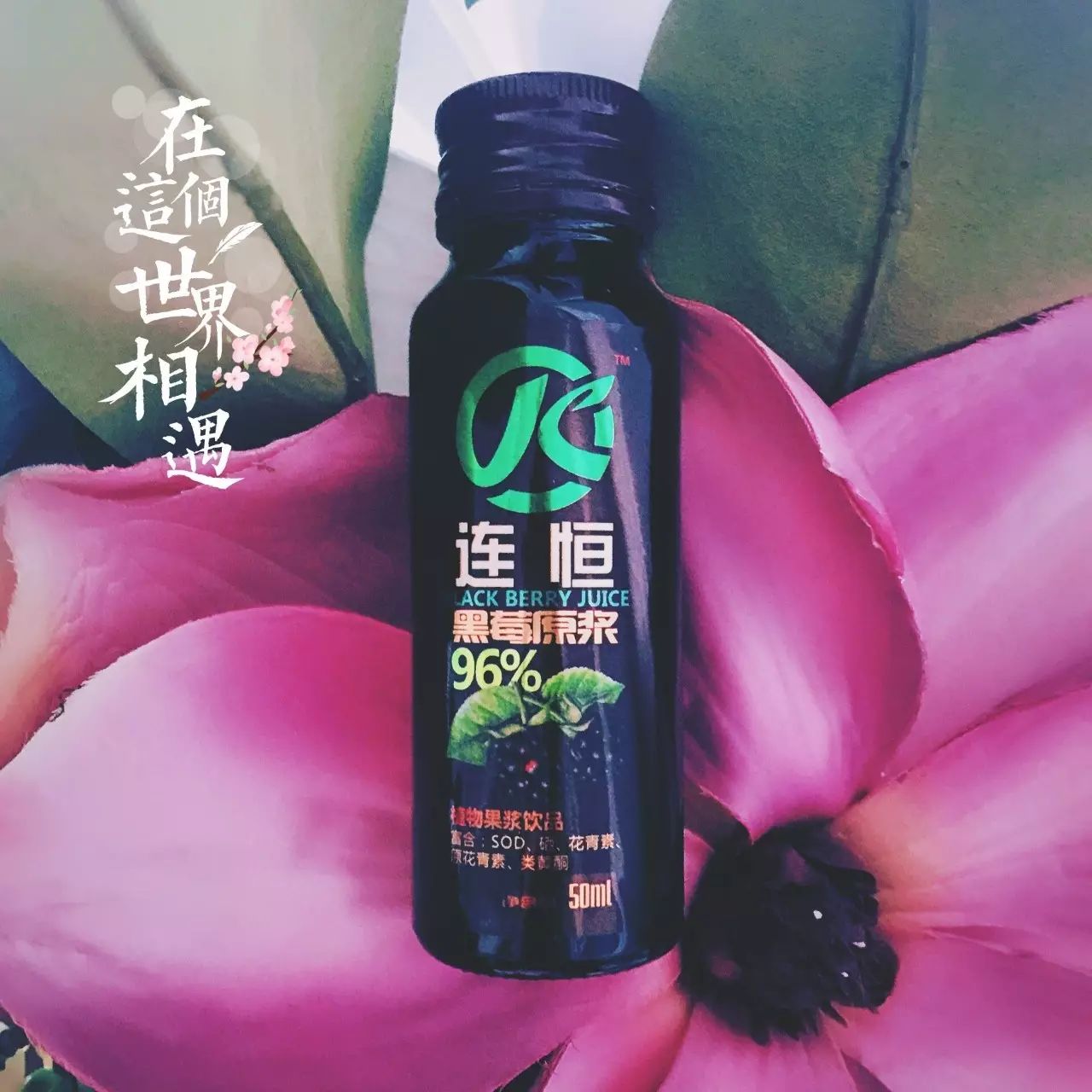 吃什么水果补硒最快最好(水果补吃好硒含量高吗)-硒宝网