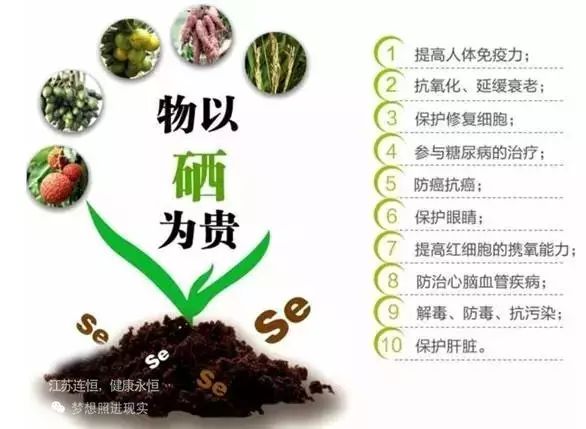 吃什么水果补硒最快最好(水果补吃好硒含量高吗)-硒宝网