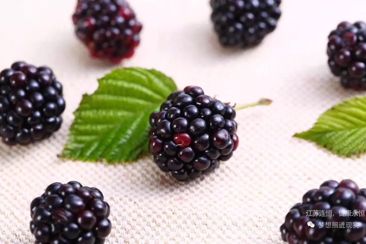 吃什么水果补硒最快最好(水果补吃好硒含量高吗)-硒宝网