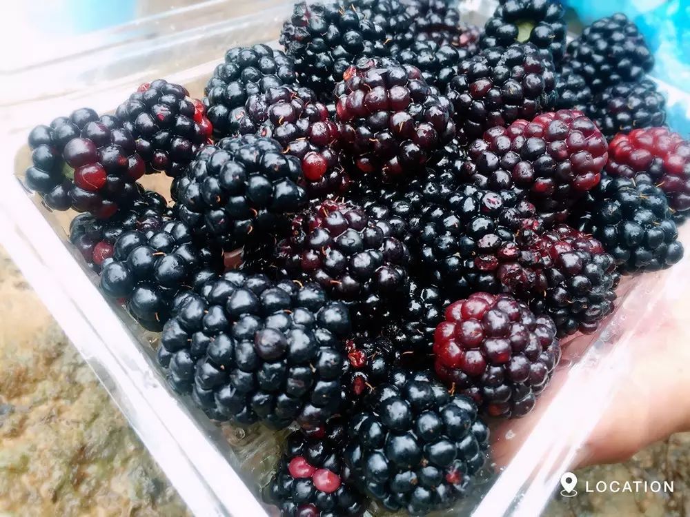 吃什么水果补硒最快最好(水果补吃好硒含量高吗)-硒宝网