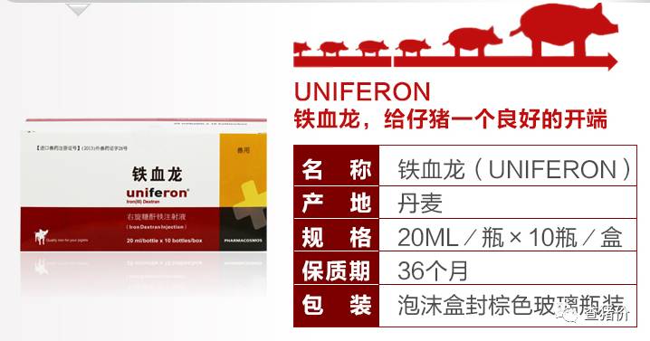 断奶后仔猪怎样补铁补硒（仔猪补铁后不良反应）-硒宝网