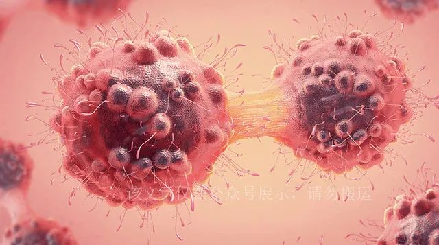 人体硒吃什么食物补最好（吃硒补什么）-硒宝网