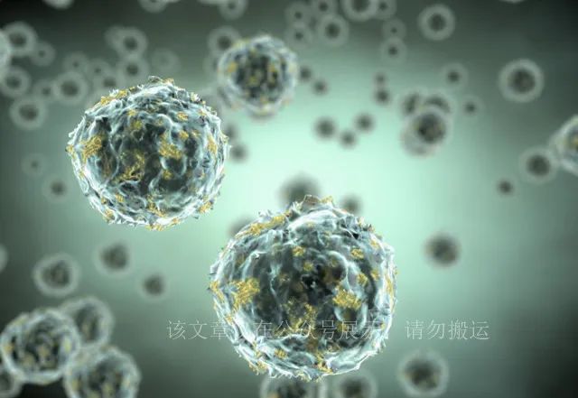 人体硒吃什么食物补最好（吃硒补什么）-硒宝网