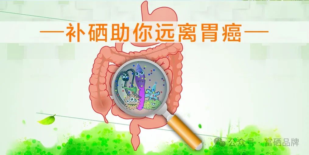 得了胃癌的病人怎么补硒（胃癌补硒有好处吗）-硒宝网