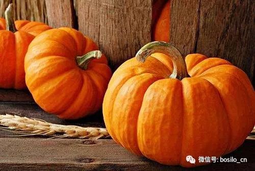 日常食物怎么补硒的最快(补食物日常硒含量多少)-硒宝网