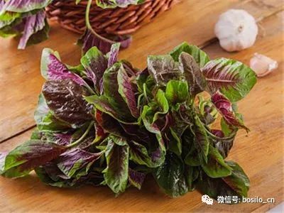 日常食物怎么补硒的最快(补食物日常硒含量多少)-硒宝网