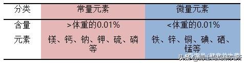 查微量元素要多少钱（查微量元素要钱吗）-硒宝网