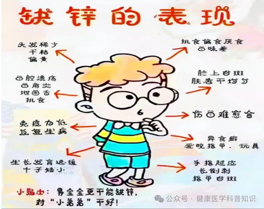 小孩补锌什么时间吃效果最佳(效果小孩最佳吃补锌时间是多久)-硒宝网