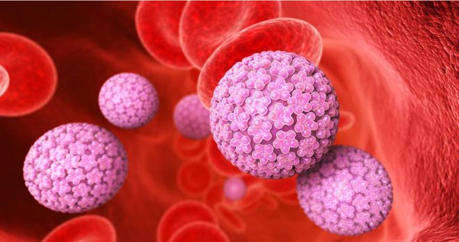 hpv补硒有必要吗女性(补硒对hpv有用吗)-硒宝网