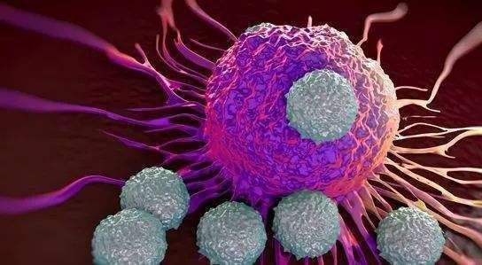 hpv补硒有必要吗女性(补硒对hpv有用吗)-硒宝网