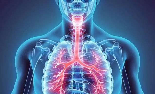 补硒元素水果有哪些食物(水果补食物元素硒有什么作用)-硒宝网