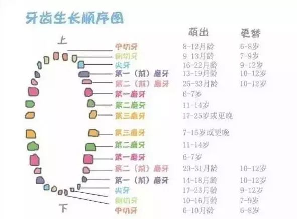 7个月宝宝需要补钙吗(宝宝补钙需要停一段时间吗)-硒宝网