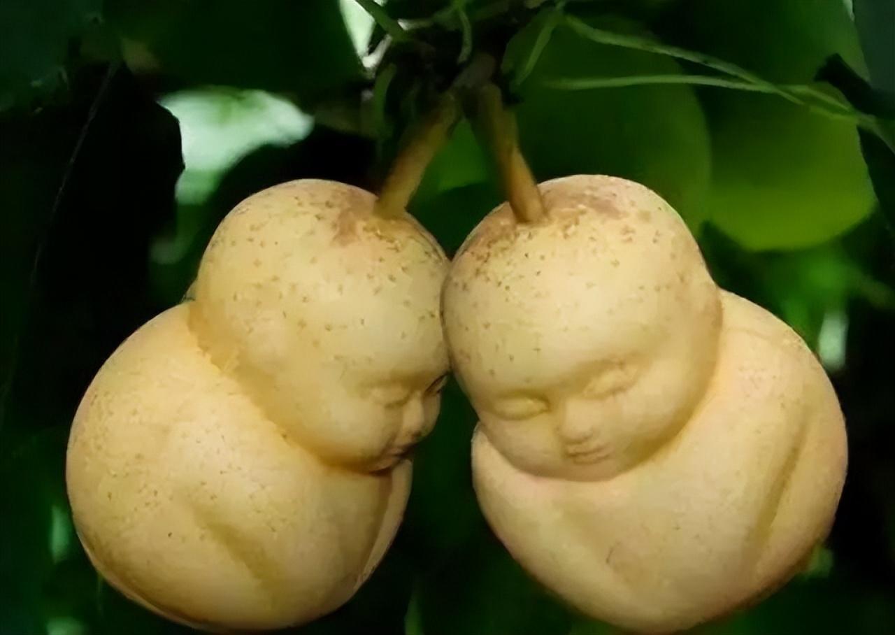 什么水果食物补硒效果好（哪些水果补硒）-硒宝网