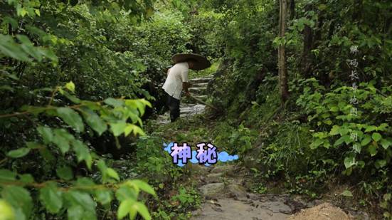 硒元素补多了有什么影响(补硒会影响肾功能吗)-硒宝网