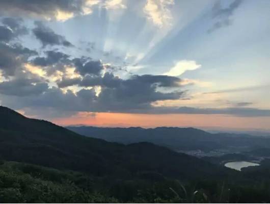 硒元素补多了有什么影响(补硒会影响肾功能吗)-硒宝网