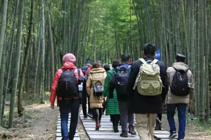 硒元素补多了有什么影响(补硒会影响肾功能吗)-硒宝网