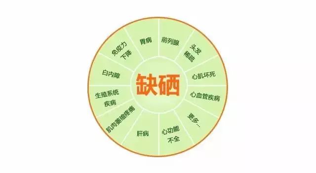 硒元素补多了有什么影响(补硒会影响肾功能吗)-硒宝网