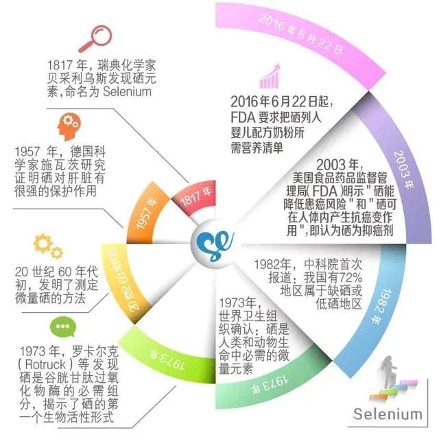 桥本氏甲状腺补硒的原因（桥本甲状腺炎补硒能降抗体吗）-硒宝网