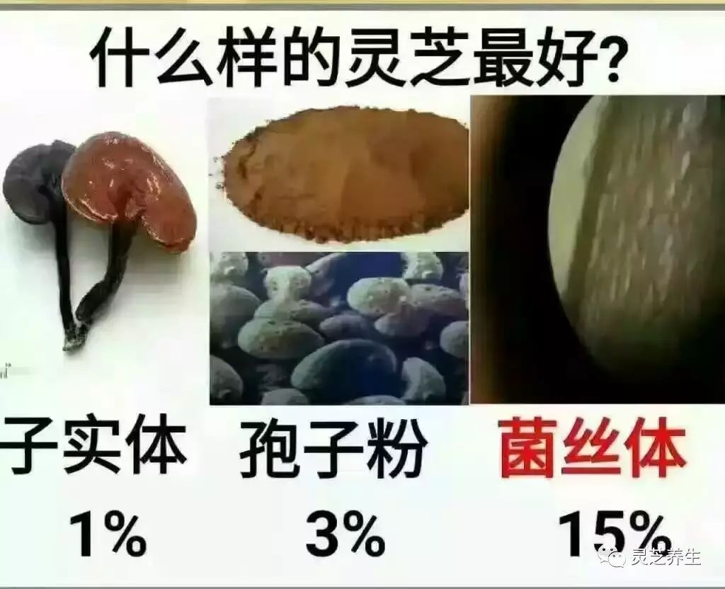 肾病补多少硒合适呢男性（合适男性补肾病硒的食物）-硒宝网