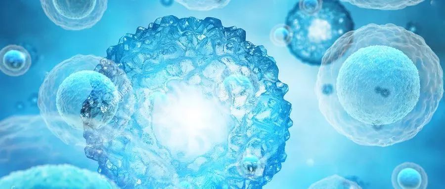 每天补硒应多少剂量合适(每天补充硒的量多少合适)-硒宝网