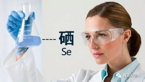 什么瓜果可以补硒元素呢(瓜果补元素硒可以吃多久)-硒宝网