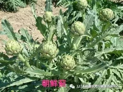 补硒能降低转氨酶吗孕妇(孕妇能补降低转氨酶硒元素吗)-硒宝网