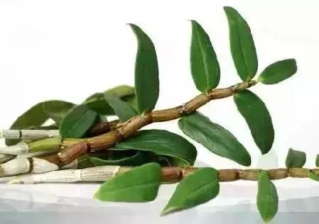 补硒能降低转氨酶吗孕妇(孕妇可以吃的降转氨酶的药)-硒宝网