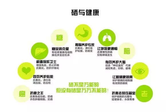 女性补硒吃哪些食物好呢（补食物女性吃好硒片吗）-硒宝网