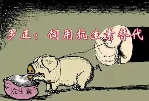 动物补硒制剂有哪些药名（补硒的兽药）-硒宝网