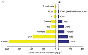 为什么有人宣传补硒食品（补硒食品）-硒宝网