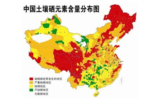 为什么有人宣传补硒食品（补硒食品）-硒宝网