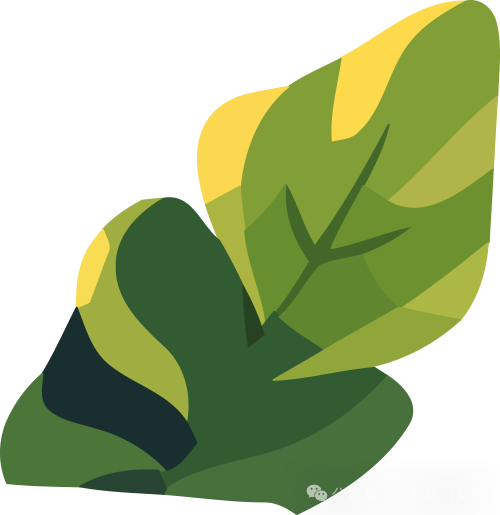 补硒标准多少克合适女性（女人补硒的好处和坏处）-硒宝网