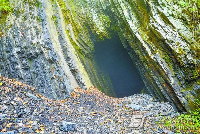 为什么有人宣传补硒食品（补硒的宣传语）-硒宝网