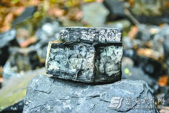 为什么有人宣传补硒食品（补硒的宣传语）-硒宝网