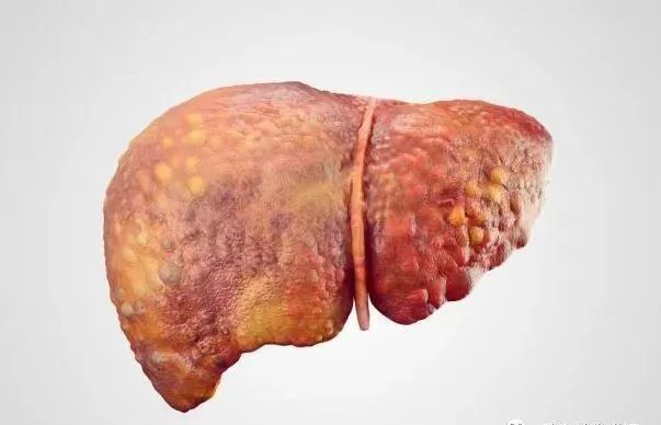 吃什么食物补硒元素最好（补充硒元素的好处）-硒宝网