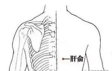 吃什么食物补硒元素最好（补充硒元素的好处）-硒宝网