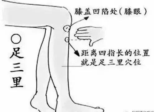 吃什么食物补硒元素最好（补充硒元素的好处）-硒宝网