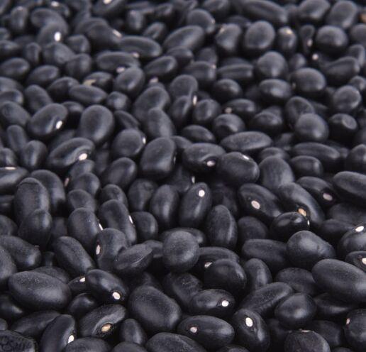 补硒可以增加怀孕几率吗（怀孕了能补硒吗）-硒宝网