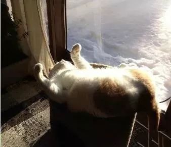 过敏体质补硒每天吃多少(过敏体质吃硒可以吗)-硒宝网