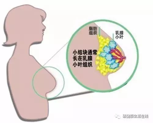 补硒还可以预防哪种疾病(科学补硒能提高疫苗接种效果)-硒宝网
