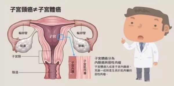 hpv病毒感染补什么硒(得了hpv补硒)-硒宝网