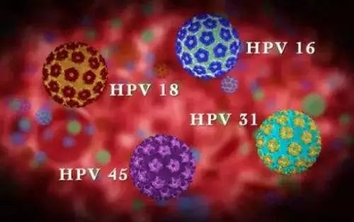 hpv病毒感染补什么硒(得了hpv补硒)-硒宝网