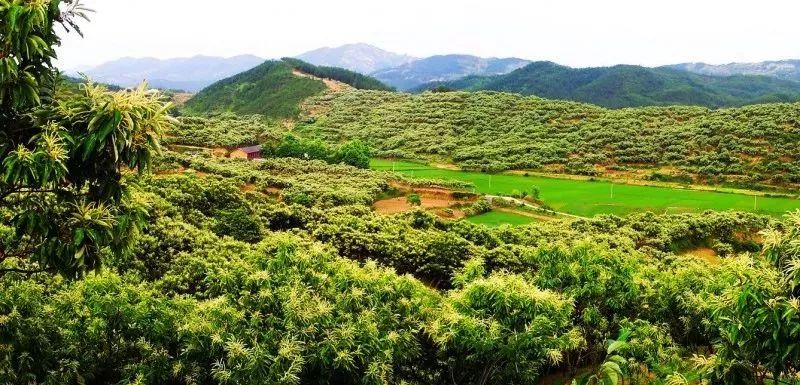 全国补硒健康工程管理办(全国补硒健康工程管理办)-硒宝网